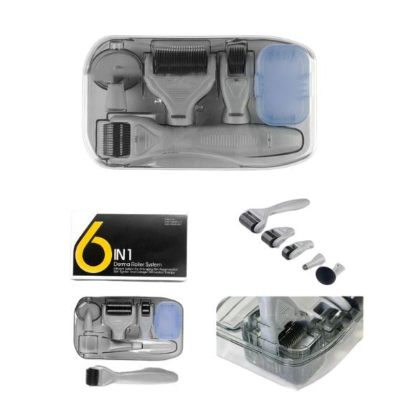 DermaKit - 6-in-1 Derma-Roller-Kit Facial Microneedling Heyang Industrial Co., Ltd
