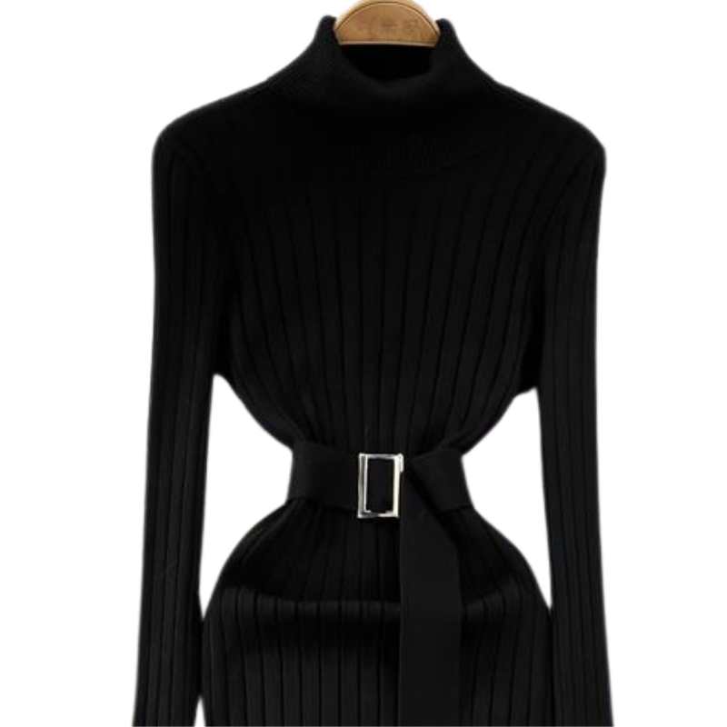 Black Turtleneck Sweater Dress - A.A.Y FASHION