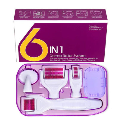 DermaKit™ 6-in-1 Derma Roller Kit, BuckyDrop