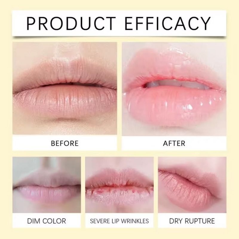 Honey Propolis Lip Balm Stick – Intensive Nourishing Hydrating Care for Dry, Chapped Lips, Yiwu Cujia Trade Co., Ltd