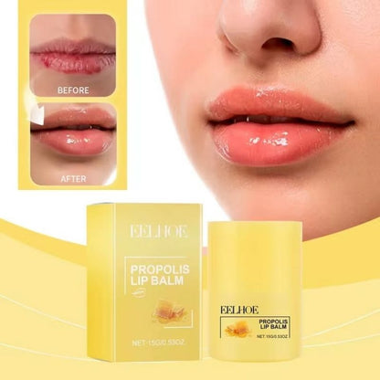 Honey Propolis Lip Balm Stick – Intensive Nourishing Hydrating Care for Dry, Chapped Lips, Yiwu Cujia Trade Co., Ltd