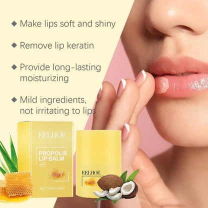 Honey Propolis Lip Balm Stick – Intensive Nourishing Hydrating Care for Dry, Chapped Lips, Yiwu Cujia Trade Co., Ltd