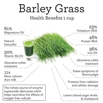 Organic Barley Leaves Green Juice Powder