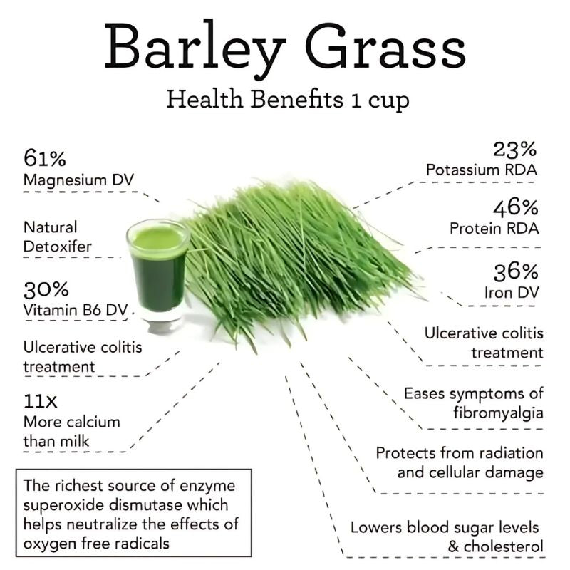 Organic Barley Leaves Multi-Vitamin Green Juice Powder, Heyang Industrial Co., Ltd